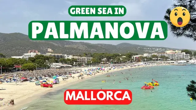 'Video thumbnail for Why is the SEA GREEN in PALMANOVA today?'