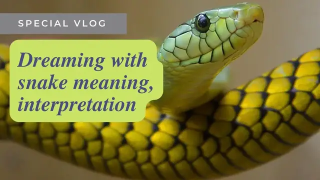 Video thumbnail for Dreaming with snake meaning, interpretation