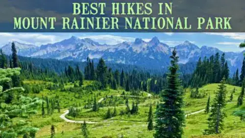 Video thumbnail for 20 Best Hikes In Mount Rainier National Park