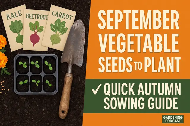 'Video thumbnail for September Vegetable Seeds to Plant | Quick Autumn Sowing Guide'