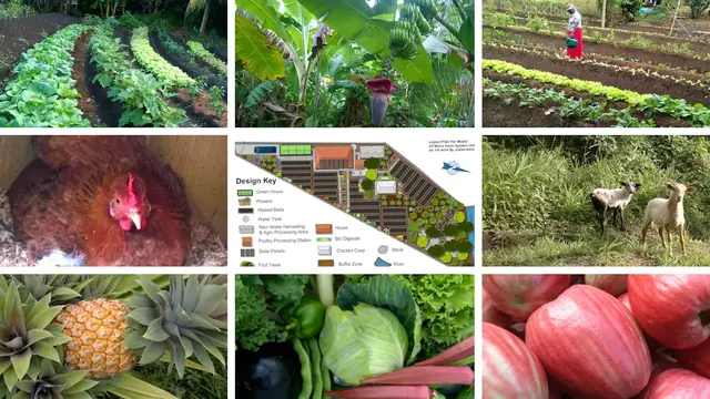 Video thumbnail for How To Start A Micro Farm (Simplified Guide)