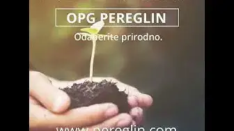 'Video thumbnail for OPG pereglin flanci'