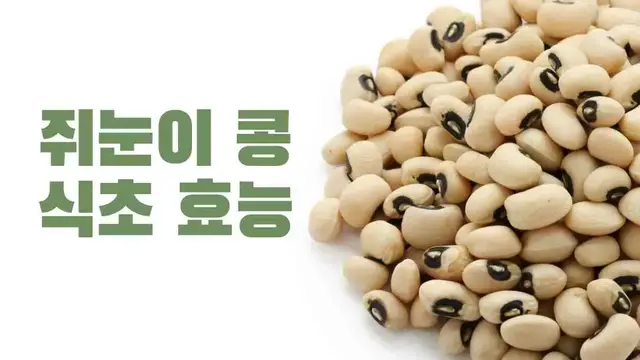 'Video thumbnail for 쥐눈이 콩 식초 효능 9가지, 중년 건강을 지키세요'