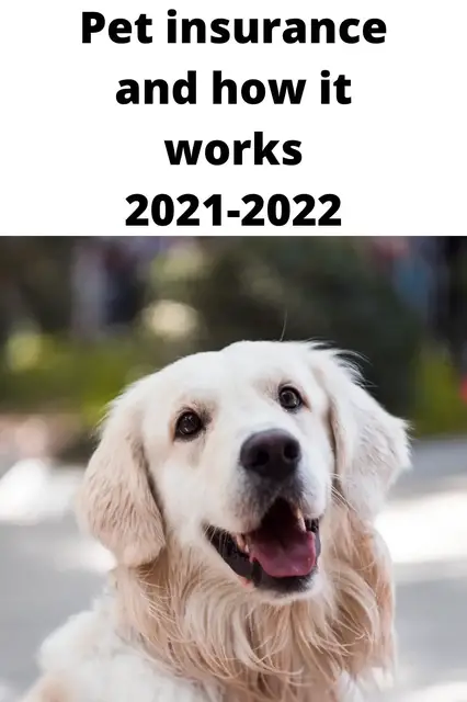 'Video thumbnail for Pet insurance how it works and benefits'