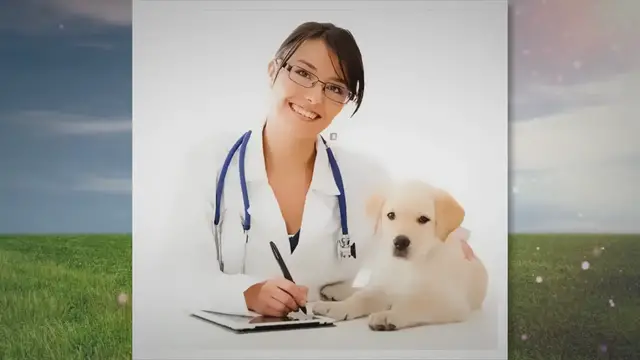 Video thumbnail for Cvreoz Pet Oral Repair Gel Review: Is It Legit & Worth It?