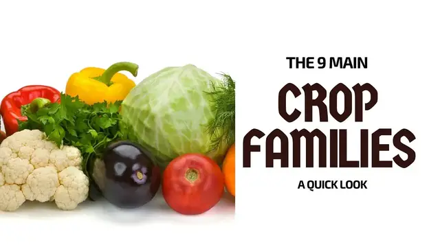 Video thumbnail for Crop rotation basics: 9 main crop families you can rotate