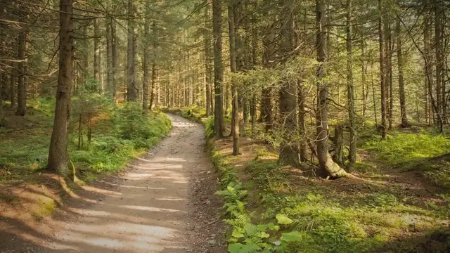 Video thumbnail for -