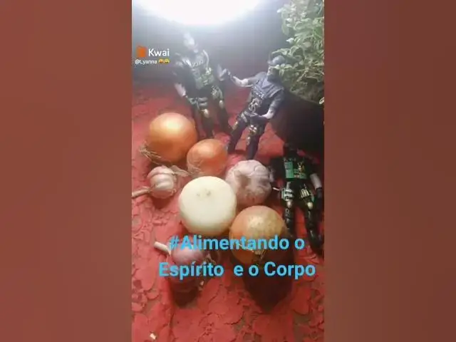 'Video thumbnail for Briga por CEBOLA, MISERICORDIA'