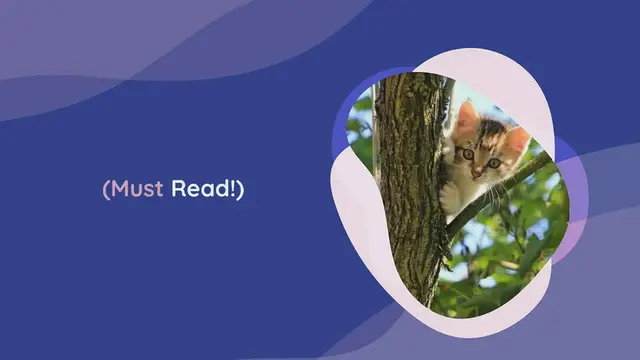 Video thumbnail for Is Compost Harmful To Cats? (Must Read!)