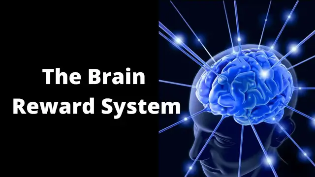Video thumbnail for What Is the Reward System of the Brain