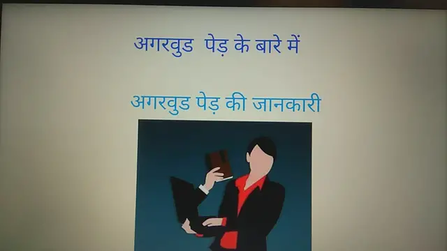 'Video thumbnail for agarwood tree price in India | agarwood ki kheti kaise karein'