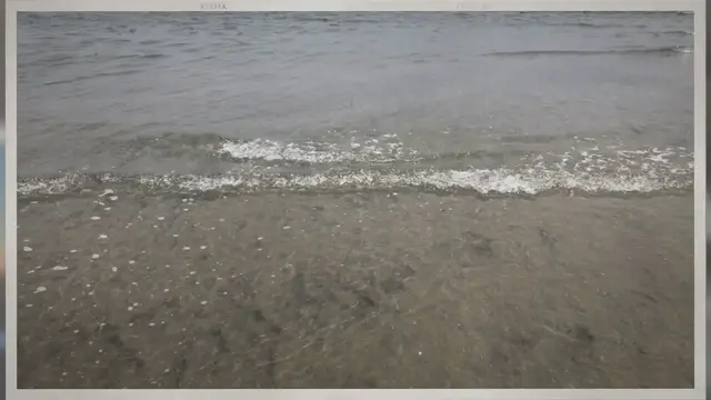 Video thumbnail for Stingrays in San Diego – Are they Common?