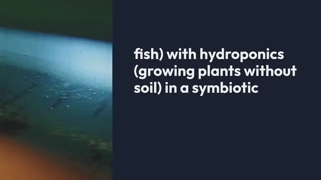 Video thumbnail for Aquaponic Gardening Systems