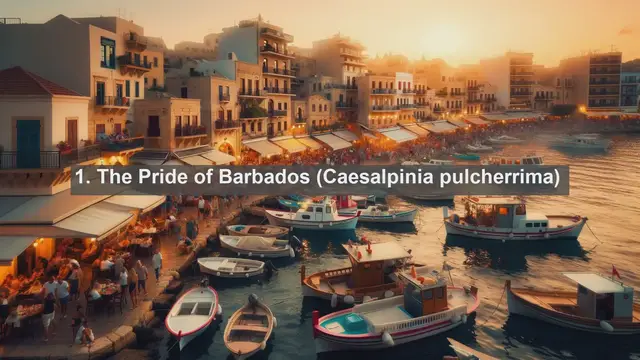 Video thumbnail for Revealing Barbados' Botanical Treasures: Top 10 Native Plants