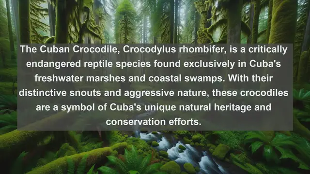 Video thumbnail for Unveiling Cuba's Wildlife Treasures: Top 10 Native Animals