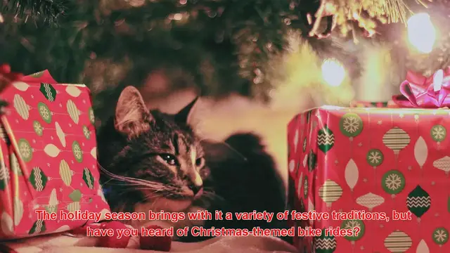 Video thumbnail for How Do Communities Celebrate Christmas With Themed Bike Rides?