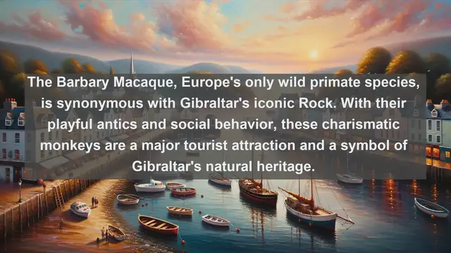 Video thumbnail for Top 10 native fauna in Gibraltar