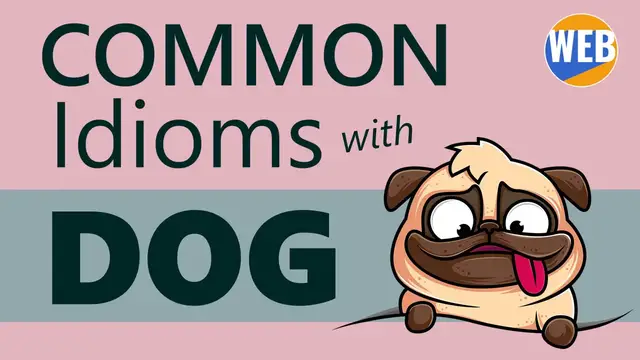 Video thumbnail for Common Dog Idioms (That Native Speakers Use!)