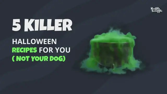 'Video thumbnail for Halloween Recipes '