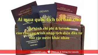 Video thumbnail for So sánh chi phí-lợi ích của các chương trình nhập tịch diện đầu tư vào các nước khác nhau
