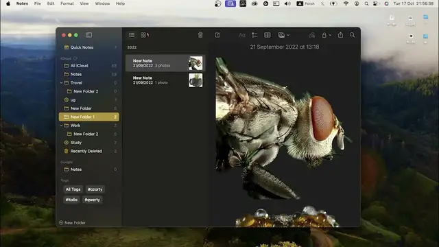 Video thumbnail for How To Use Notes App in Mac Os Sonoma?