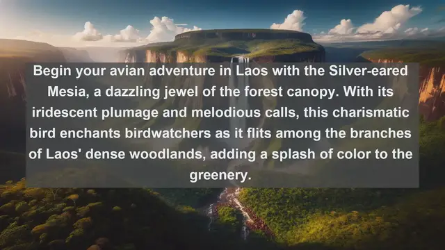 Video thumbnail for Exploring Laos' Avian Treasures: Top 10 Native Birds of Laos