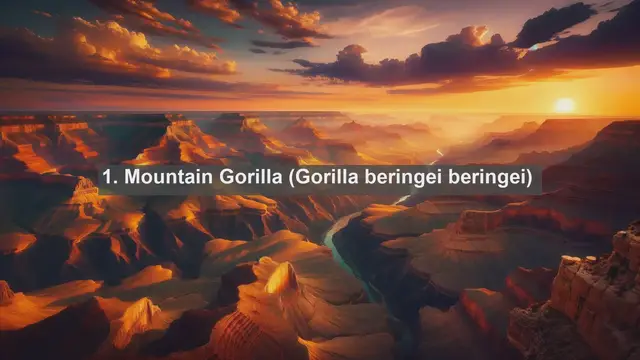 Video thumbnail for Discovering Burundi's Biodiversity: Top 10 Native Animals You Need to See