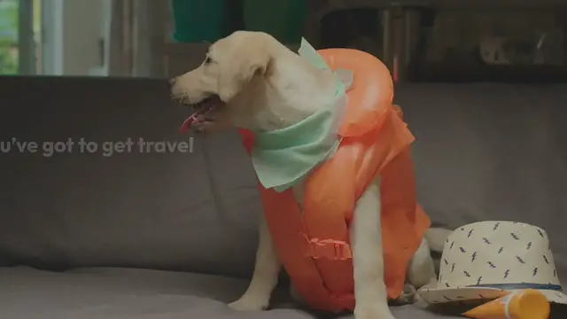 'Video thumbnail for Summer Travel Essentials – Travel in Style and Comfort'