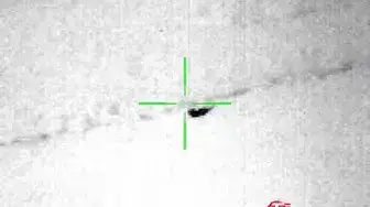 Video thumbnail for 42 Pound Eastern Coyote