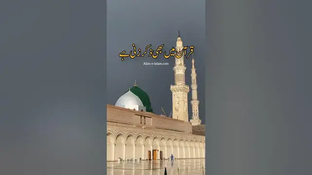 Video thumbnail for Madina Sharif 🥀 || #shorts