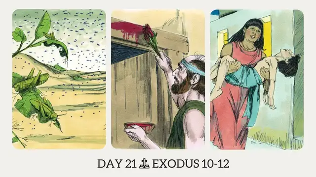 Video thumbnail for DAY 21 | The Book of Exodus: Chapter 10-12