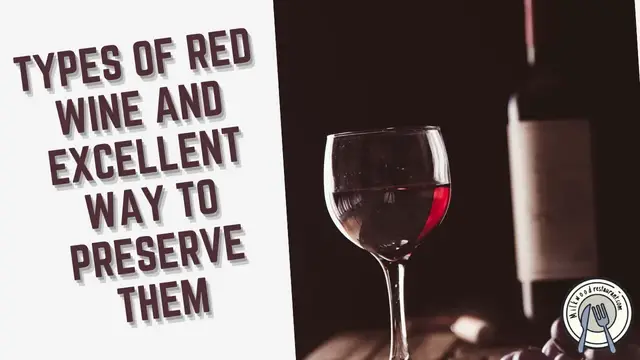 Video thumbnail for Types of Red Wine and Excellent Way to Preserve Them!