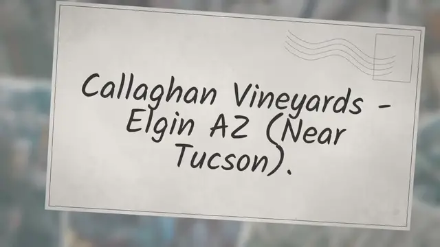 'Video thumbnail for Wine Vineyards'