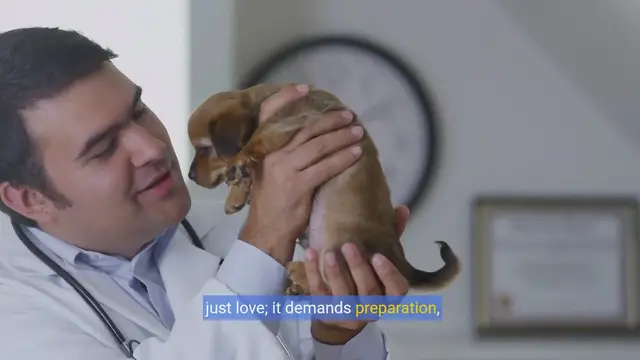 Video thumbnail for Puppy Prep 101: Essential Supplies Every New Owner Needs