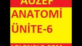 Video thumbnail for Anatomi Ünite 6 Online Test