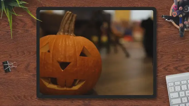 'Video thumbnail for Feline Folklore: Why Are Black Cats a Scary Symbol of Halloween?'