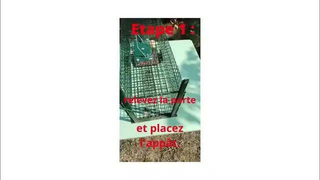 Video thumbnail for Nasse à rat mode d'emploi