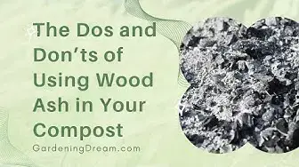 Video thumbnail for The Dos and Don’ts of Using Wood Ash in Your Compost