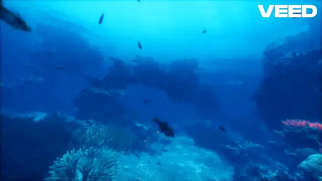 Video thumbnail for Create Your Dream Saltwater Tank!