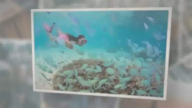 Video thumbnail for Sweet Potato Casserole