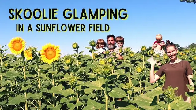 'Video thumbnail for Magical Skoolie Glamping in a Sunflower Field | Destination Unknown School Bus Conversion'