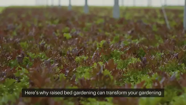 Video thumbnail for Hydroponic Gardening Systems Compared