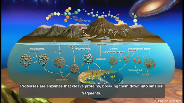 Video thumbnail for Proteases in biology
