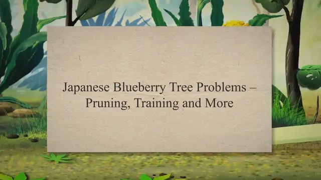 Video thumbnail for Keeping Your Japanese Blueberry Trees Healthy: A Guide to Pruning, Training, and Common Problems