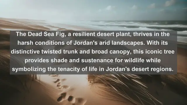 Video thumbnail for Unveiling Jordan's Botanical Jewels: Top 10 Native Plants Revealed