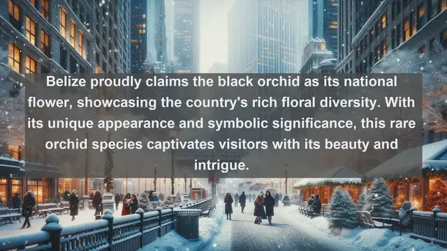 Video thumbnail for Discover Belize's Botanical Bounty: Top 10 Native Flora