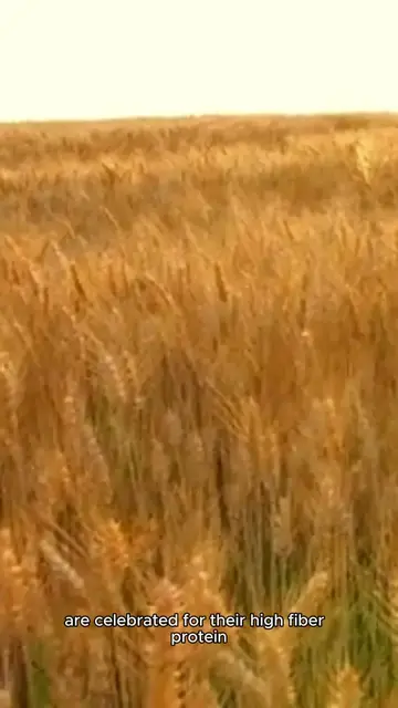'Video thumbnail for _Ancient Grain Power Bowl '