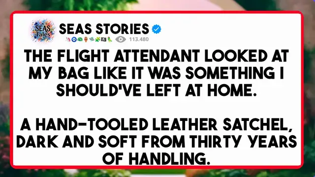 Video thumbnail for The flight attendant looked at my bag