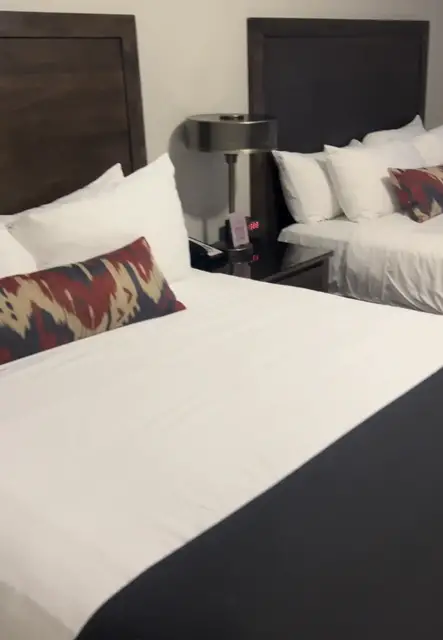 'Video thumbnail for Minerals Hotel Room Walkthrough'
