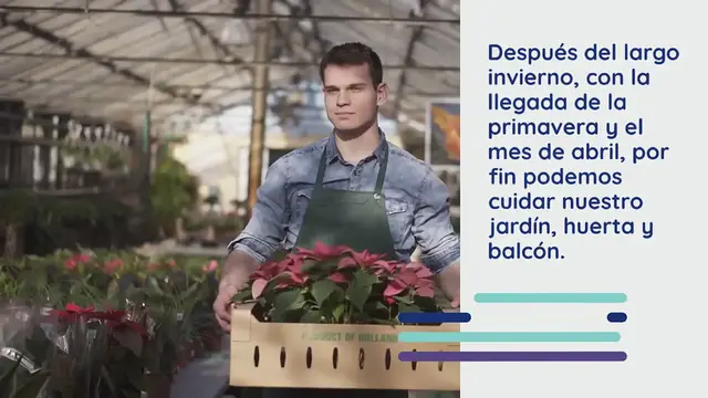 Video thumbnail for Aquí están todos los arbustos y plantas para podar en abril: el ranking